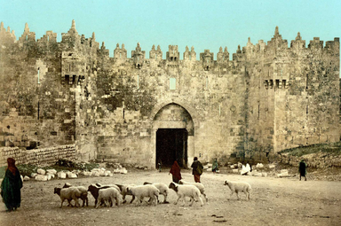 Analysis written from Palestine, not just about it