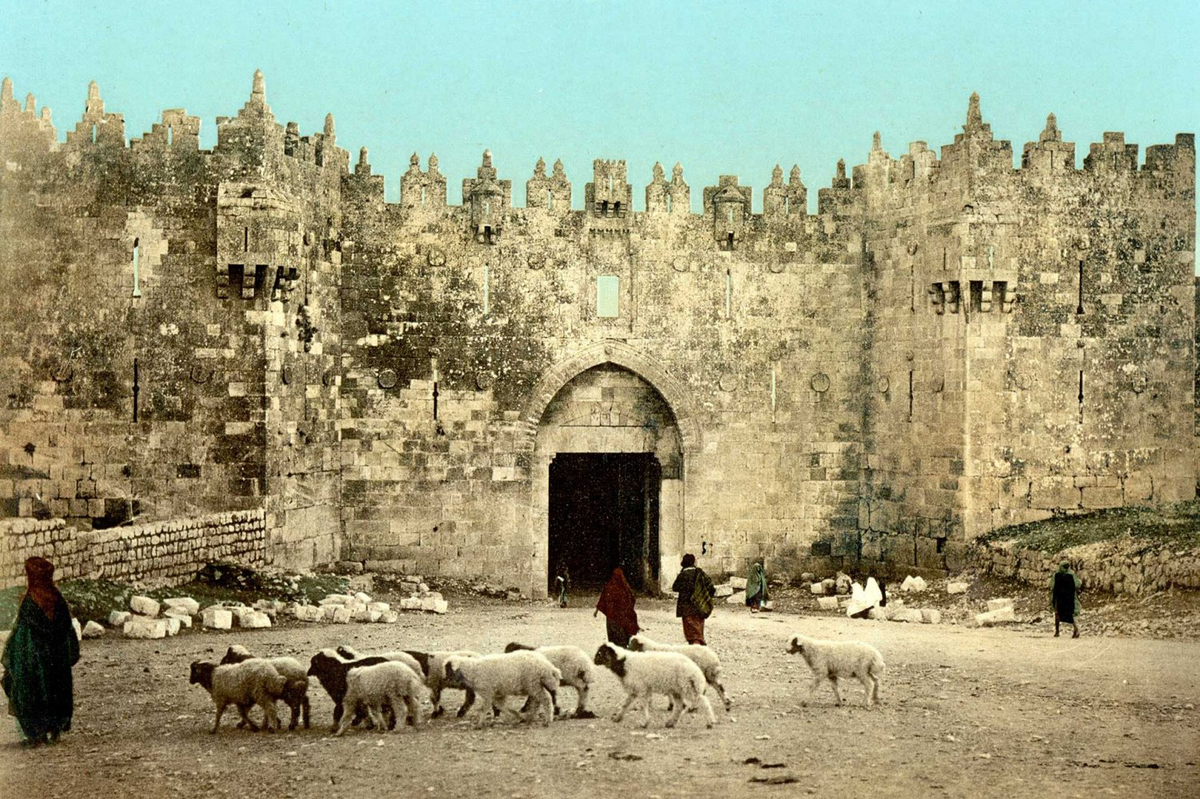 Analysis written from Palestine, not just about it