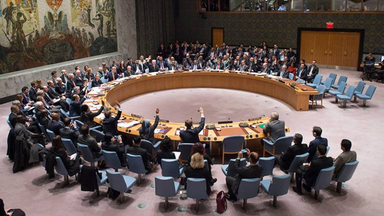 UNSCR 2803: Peacewashing Settler Colonial Erasure in Palestine